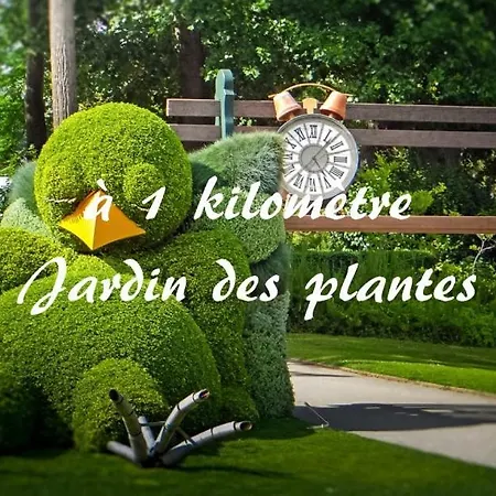Le Nid Des Carmes * Nantes